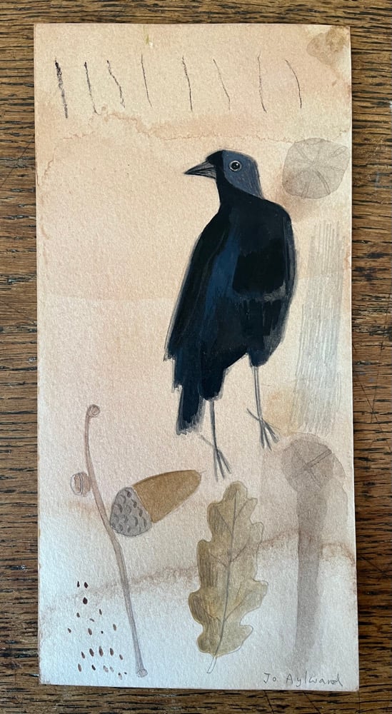 Image of Jackdaw and oak 
