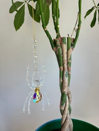 Image 3 of Lunar Prism Spider