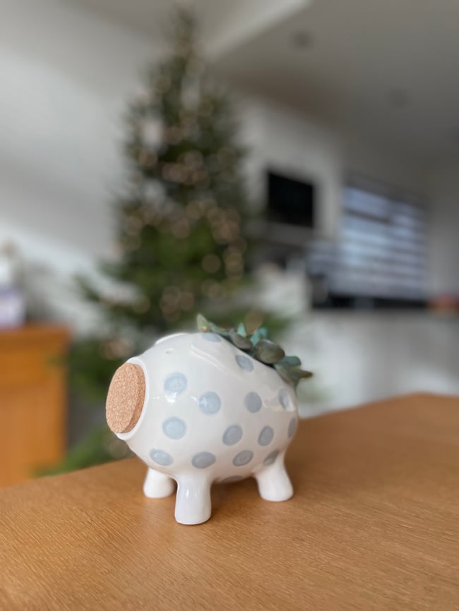 Silver Plant Pot Pig