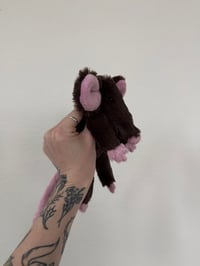 Image 8 of Mystery Rat Pre-Orders 