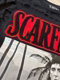 Image 2 of Large Scarface destroyed 