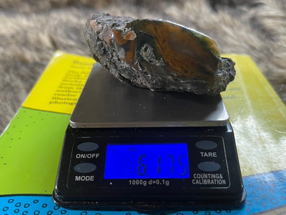Face Polished Agate Wood With Rare Color