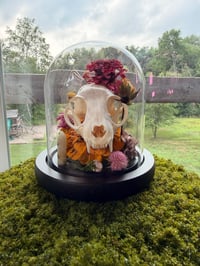 Image 5 of Summer Kitty Cloche 