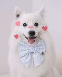 Image 2 of CUPID BLUE SAILOR BOW