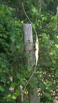 Image 3 of Witham Custom Bow