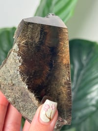 Image 2 of XL SELF STANDING HALF POLISHED HIMALAYAN RUTILE IN QUARTZ CLUSTER G
