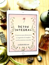 EBOOK DETOX INTEGRAL