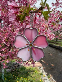 Image 1 of Cherry Blossom (Small)