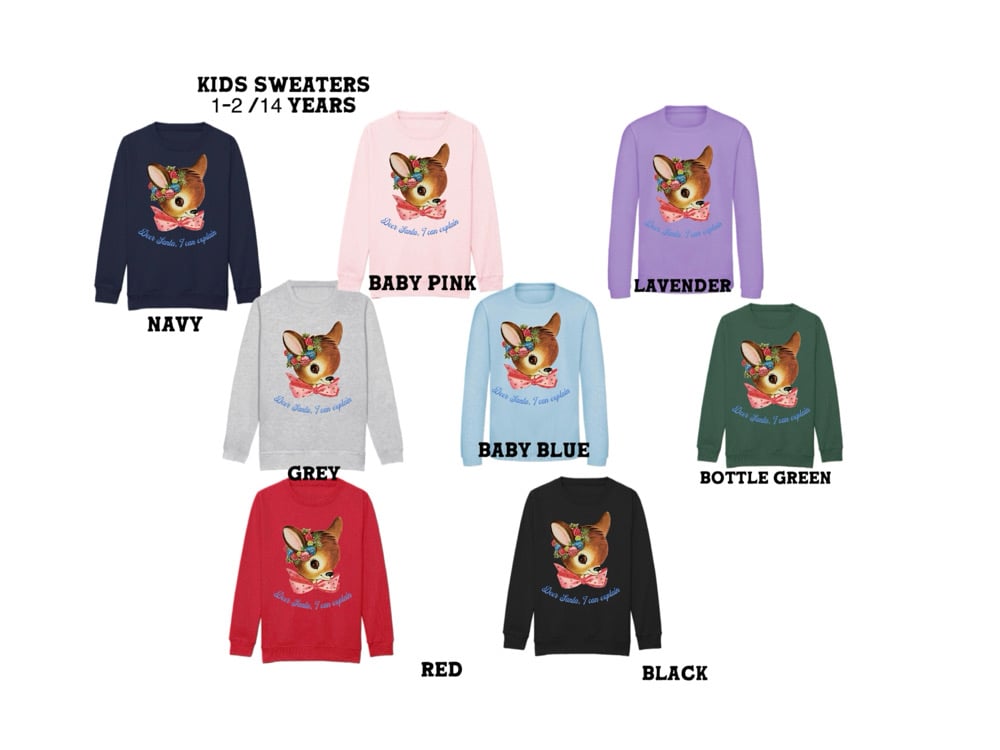 Image of Deer Santa I can explain children’s tee/sweater