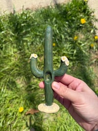 Image 2 of Cacti 🌵 