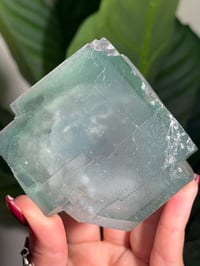 Image 6 of XL TEAL CUBIC FLUORITE -CHINA-