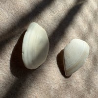 Image 1 of Pendientes Sea