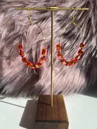 Image 3 of Sunset Glow