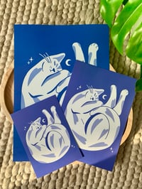 Image 2 of Chat bleu 