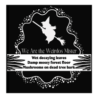Image 2 of We are the Weirdos Mister