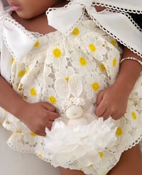 Image 6 of Cottontail