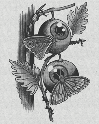 Image 1 of Beauty Feeds