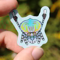 Image 3 of Mini Peacock Jumping Spider 1.5” Sticker