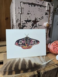 Image 8 of Watercolour Greeting Cards