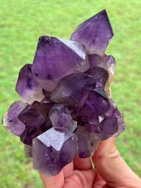 Image 16 of Amethyst Points Cluster | Congo #2870