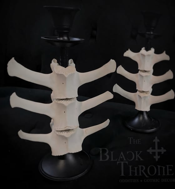 Image of Spinal Candle Holders 