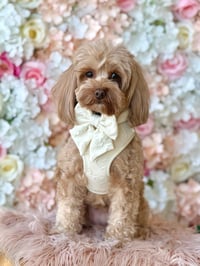 Image 2 of LOVE LUX WALKWEAR SET - IVORY