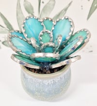 Image 4 of Stained Glass Rounded Leaf Succulent 
