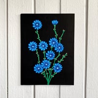 Image 1 of Chicory