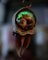 Image 22 of Nebula Hatchling Snaggletooth Pendant - Handmade,  2" OOAK