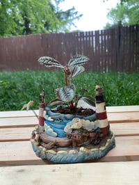 Image 1 of Ploynesian Ivy in Lighthouse Holder