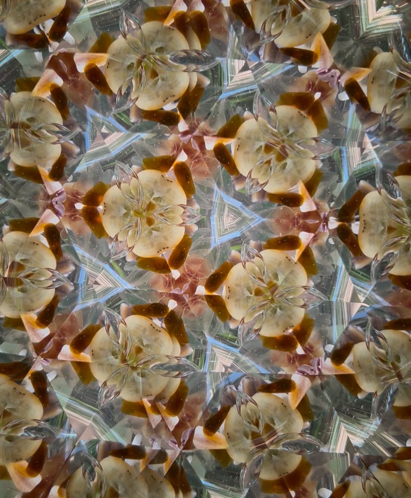 Image of Mermaid Beach AuraScope