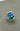 Paua  