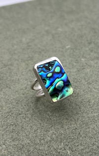 Image 1 of Paua  