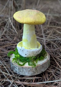 Image 2 of Mushroom Sculptures