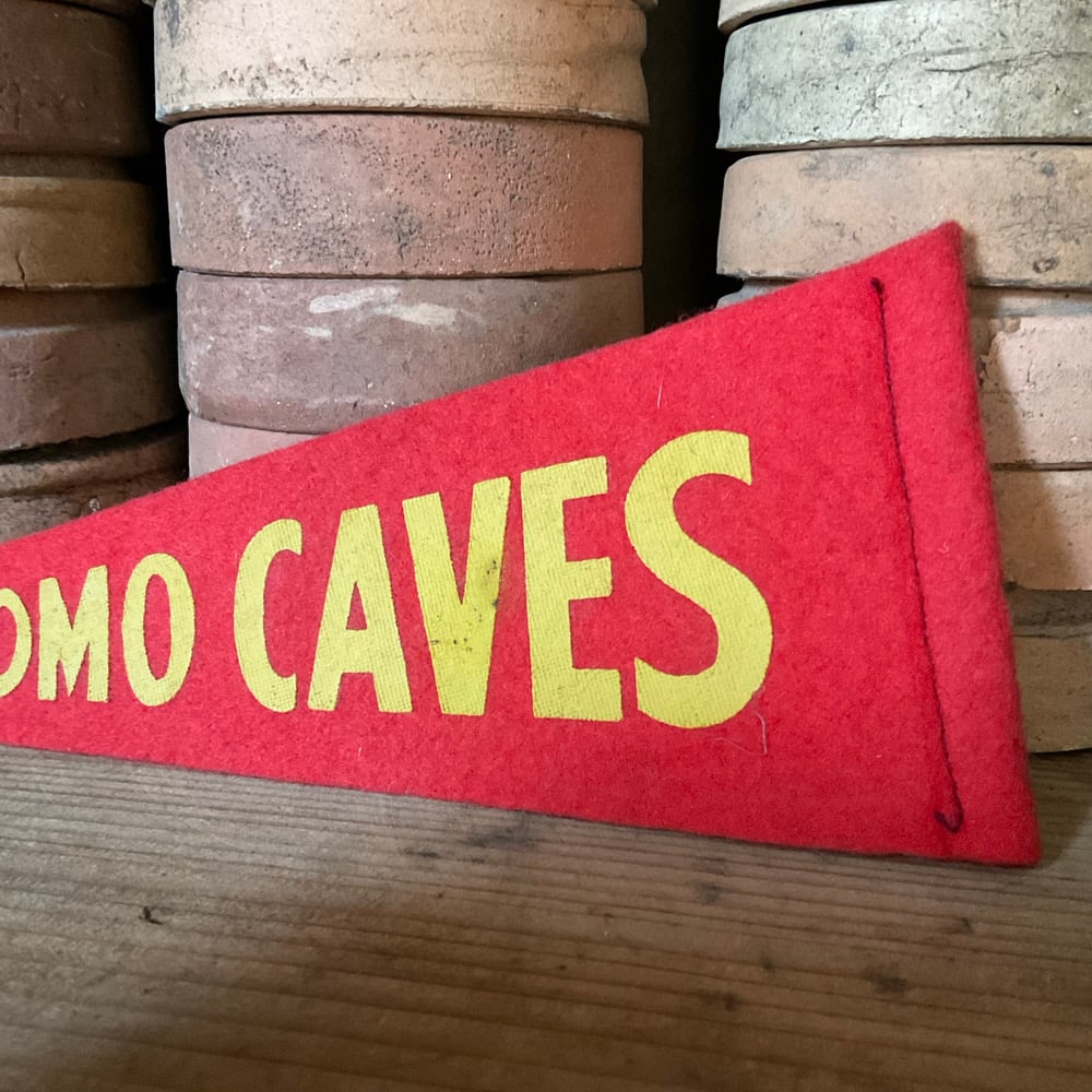 Image of Waitomo Caves