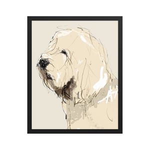 Image of OTTERHOUND