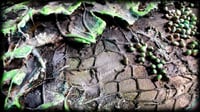 Image 6 of NeoDriFT TEXTURE 12X12" UV