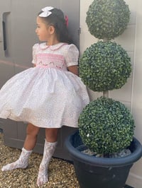 Image 1 of the Vivienne dress 