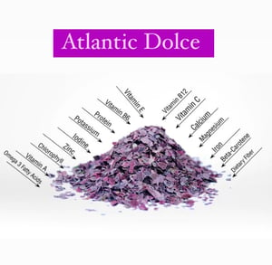 Image of Atlantic Dulse