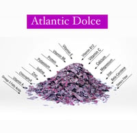 Image 2 of Atlantic Dulse