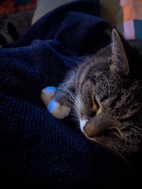 Only buy this if you're Kyle