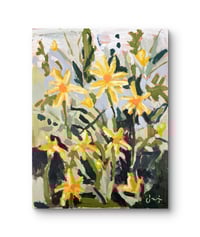 Image 5 of Dandy at Longwood