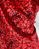 Image 2 of Arachnophobia