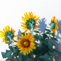 Image 2 of SunflowerWash Oak Framed 30x30cm