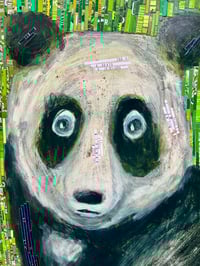 Image 4 of Matrix Panda