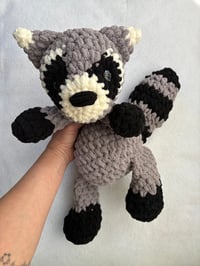 Image 2 of riggs the raccoon  