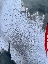 Image 5 of Perception and the attacked