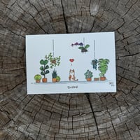 Pets and Plants Mini
