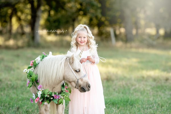 Image of Unicorn Sessions 