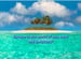Image of Island Escape Hand/Shower Soap